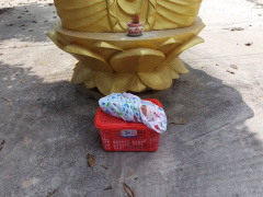 Ảnh bìa bài viết 736068