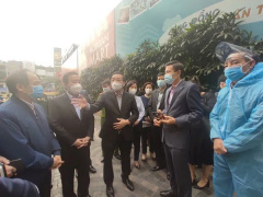 Ảnh bìa bài viết 736136
