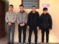 Ảnh bìa bài viết 736024