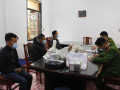 Ảnh bìa bài viết 736155