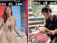 Ảnh bìa bài viết 736067
