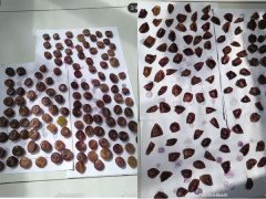 Ảnh bìa bài viết 736074