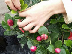 Ảnh bìa bài viết 736277