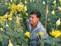 Ảnh bìa bài viết 736246