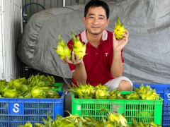 Ảnh bìa bài viết 736234