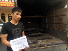 Ảnh bìa bài viết 736381
