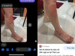 Ảnh bìa bài viết 736518