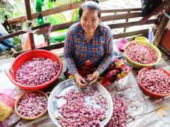Ảnh bìa bài viết 736425