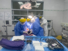 Ảnh bìa bài viết 736807