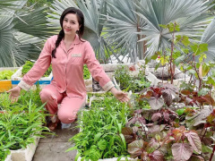 Ảnh bìa bài viết 736776