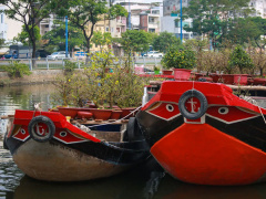 Ảnh bìa bài viết 736690
