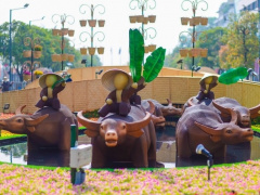 Ảnh bìa bài viết 736823