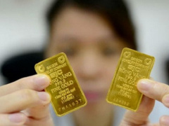 Ảnh bìa bài viết 736632