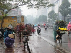 Ảnh bìa bài viết 736777