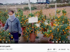 Ảnh bìa bài viết 736679