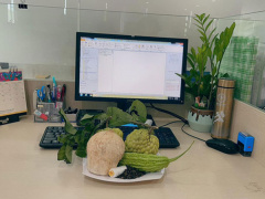 Ảnh bìa bài viết 737004