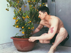 Ảnh bìa bài viết 736982