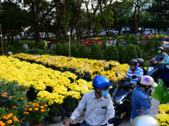 Ảnh bìa bài viết 737080