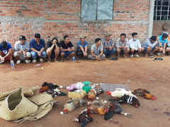 Ảnh bìa bài viết 737161