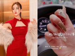 Ảnh bìa bài viết 737187