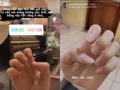 Ảnh bìa bài viết 737081