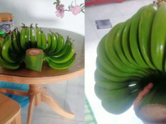 Ảnh bìa bài viết 737184