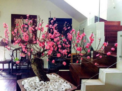 Ảnh bìa bài viết 737036