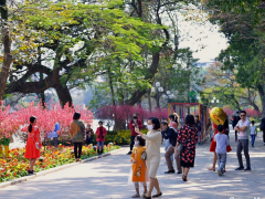 Ảnh bìa bài viết 737301