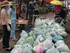 Ảnh bìa bài viết 737355