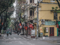 Ảnh bìa bài viết 737277