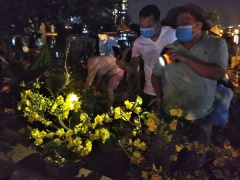 Ảnh bìa bài viết 737360