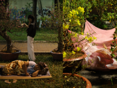 Ảnh bìa bài viết 737213
