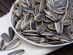 Ảnh bìa bài viết 737372