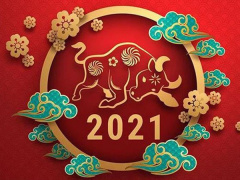 Ảnh bìa bài viết 737453