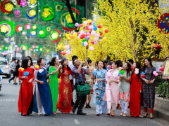 Ảnh bìa bài viết 737431