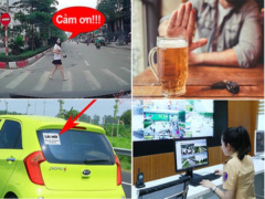 Ảnh bìa bài viết 737371