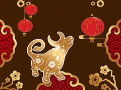 Ảnh bìa bài viết 737587
