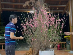 Ảnh bìa bài viết 737685