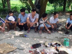 Ảnh bìa bài viết 737798