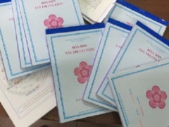 Ảnh bìa bài viết 737777