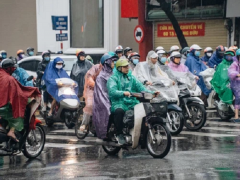 Ảnh bìa bài viết 737878