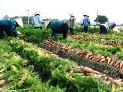 Ảnh bìa bài viết 738016