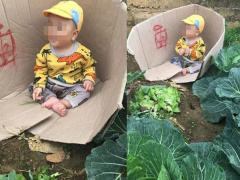 Ảnh bìa bài viết 738246