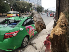 Ảnh bìa bài viết 738426