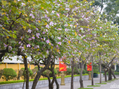 Ảnh bìa bài viết 738774