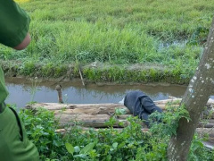 Ảnh bìa bài viết 738943