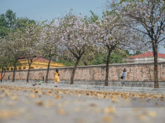 Ảnh bìa bài viết 739095