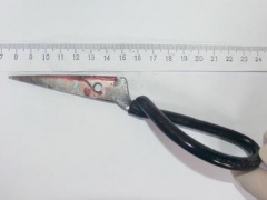 Ảnh bìa bài viết 739415