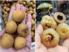 Ảnh bìa bài viết 739278