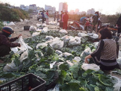 Ảnh bìa bài viết 739416